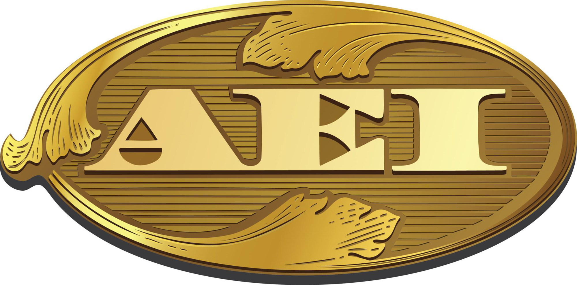 AEI_Gold_Logo-03.12.19